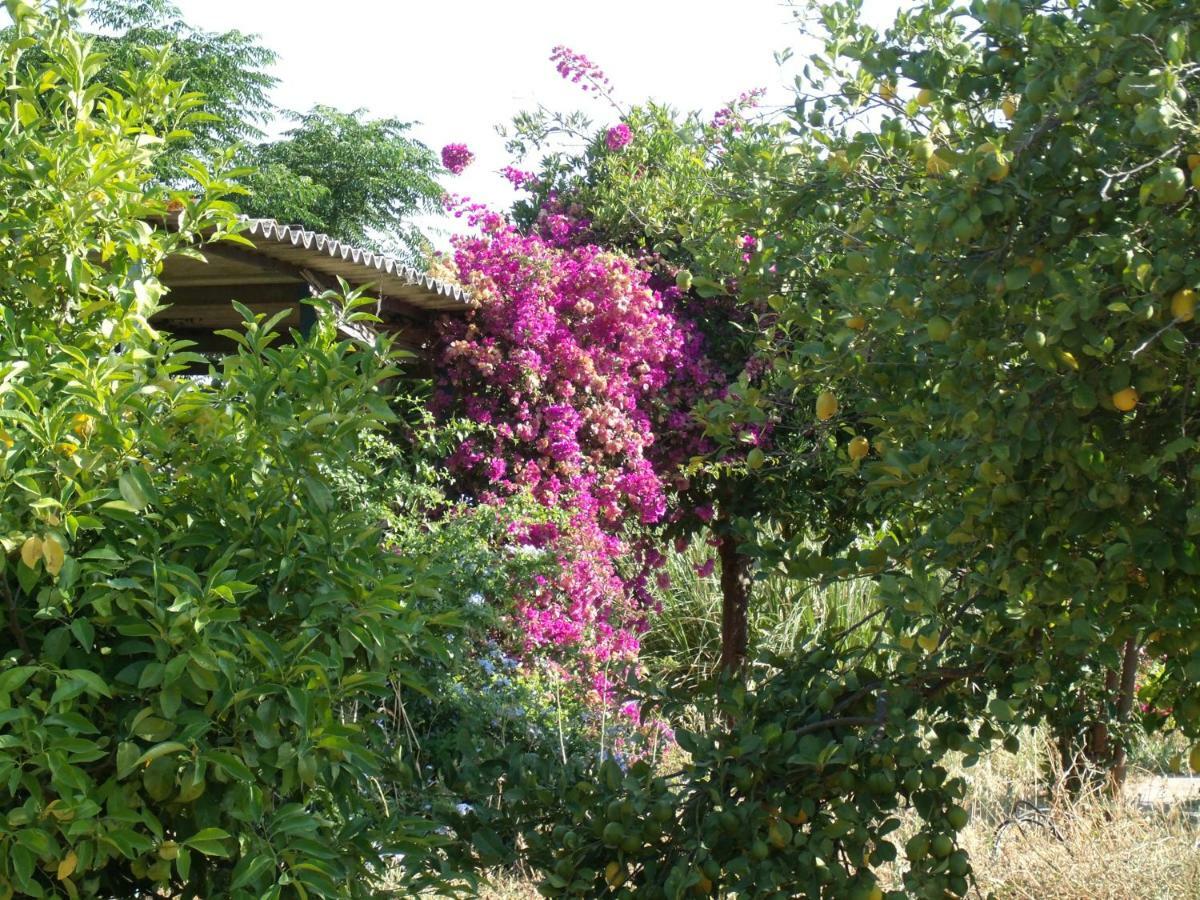 La Finca Blanca Alora Εξωτερικό φωτογραφία