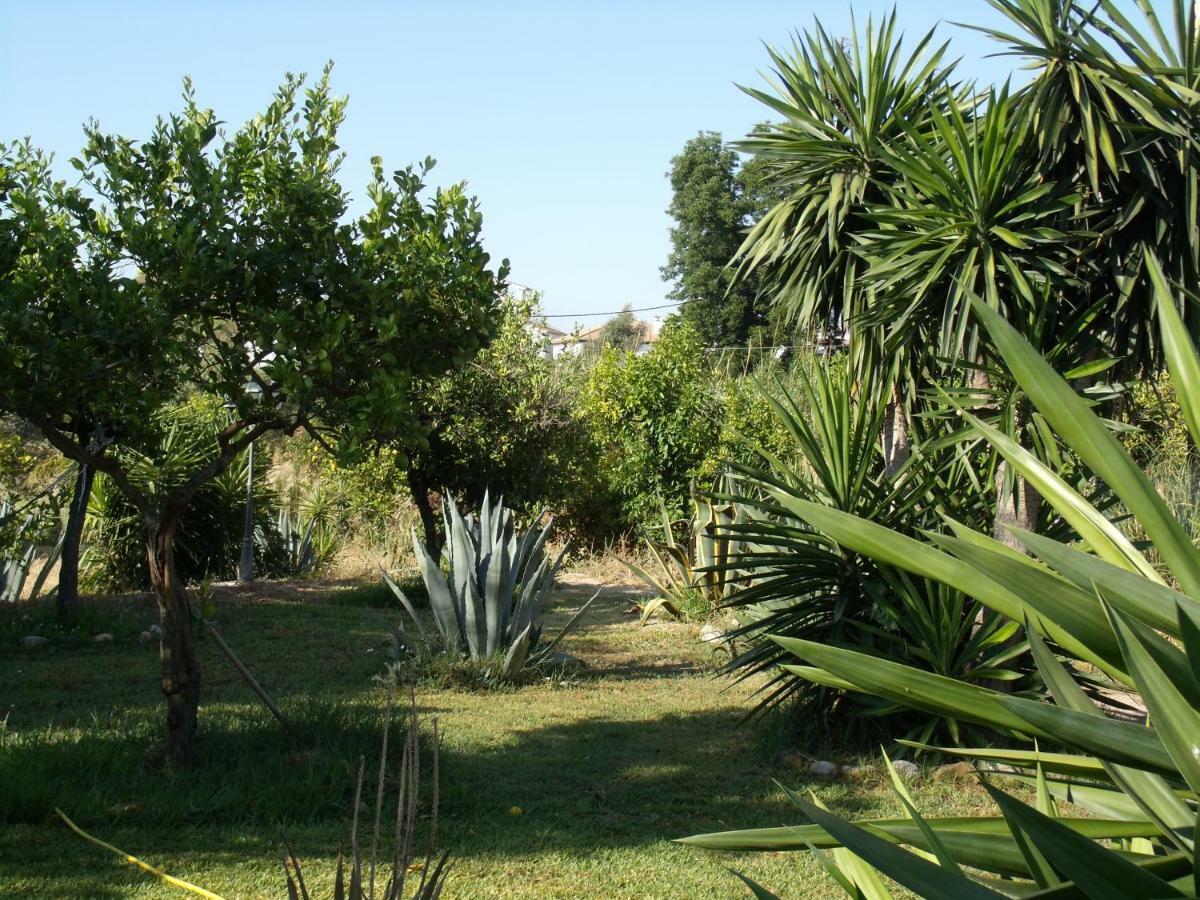 La Finca Blanca Alora Εξωτερικό φωτογραφία