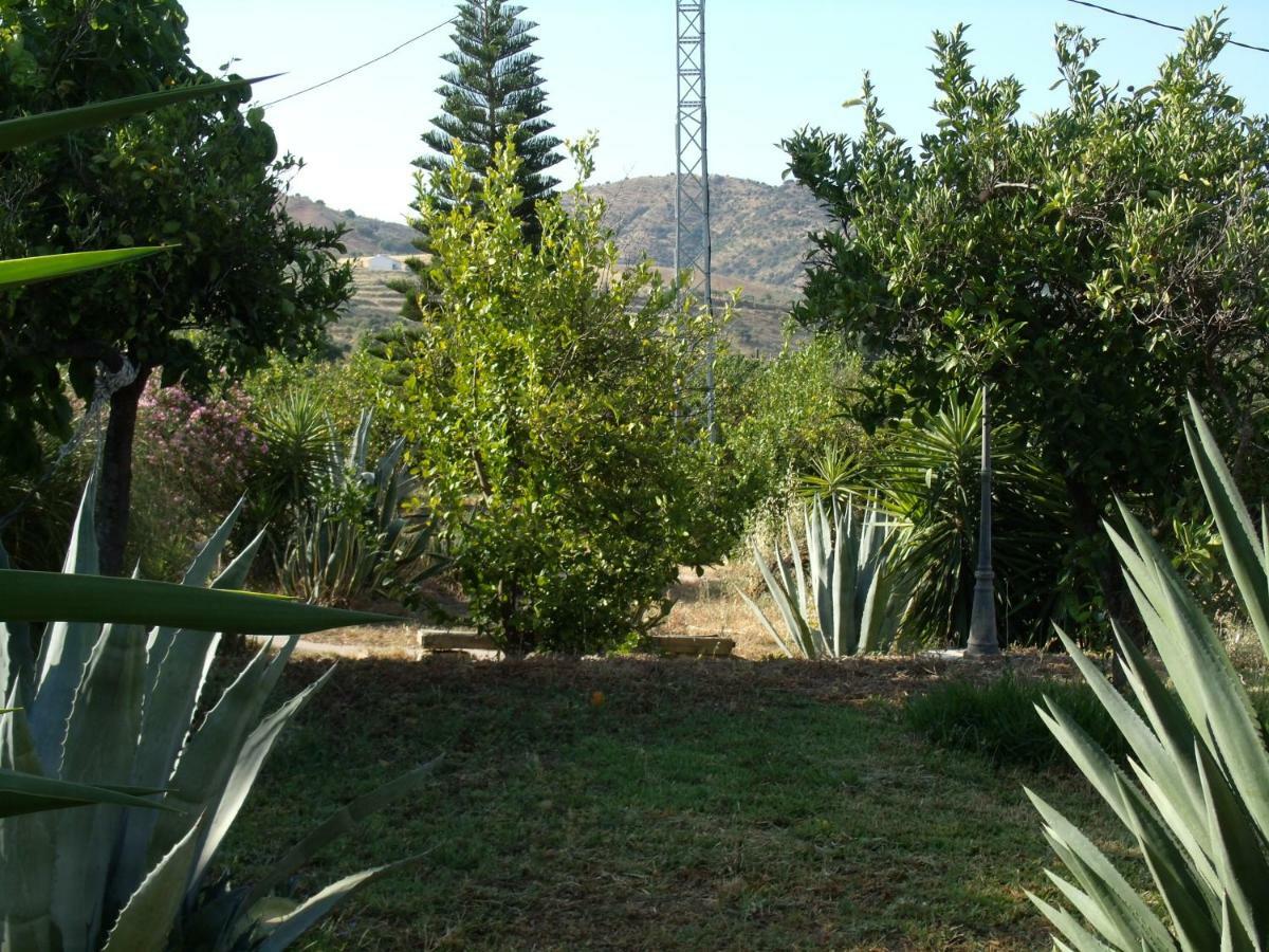 La Finca Blanca Alora Εξωτερικό φωτογραφία