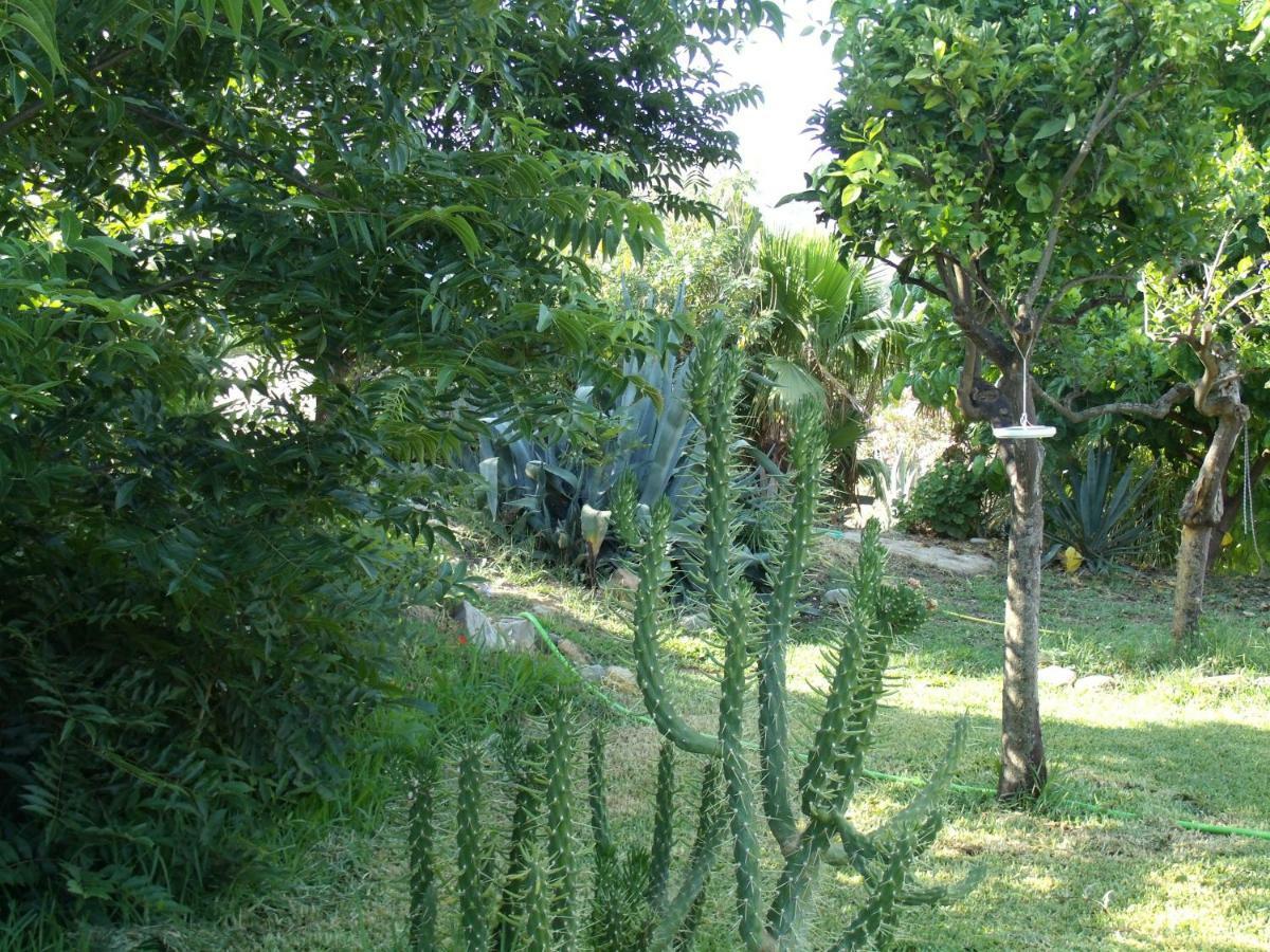 La Finca Blanca Alora Εξωτερικό φωτογραφία
