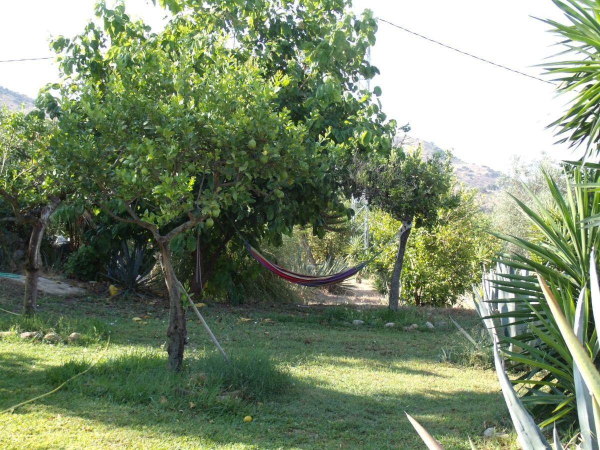 La Finca Blanca Alora Εξωτερικό φωτογραφία
